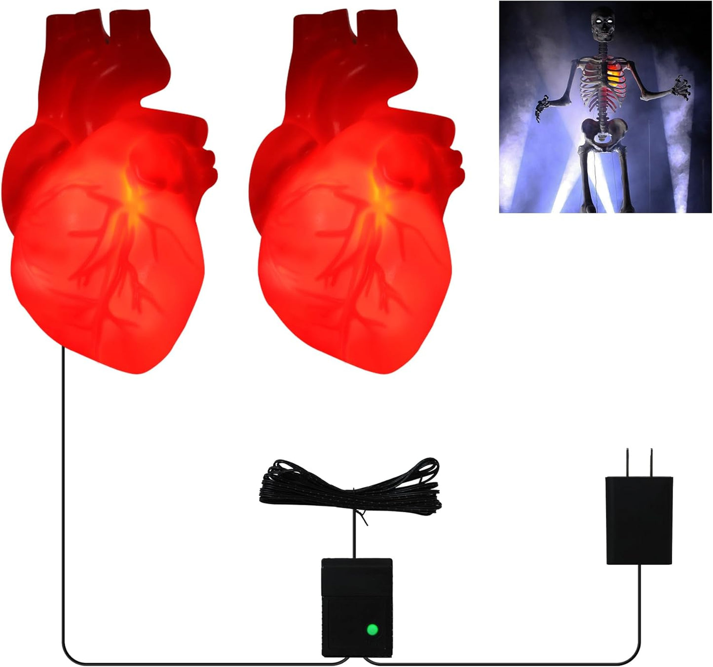 Light up Halloween Skeleton Heart Decor, Halloween Animatronics Props Realistic Heartbeat with Lights, Creepy Decorations Plug in with 16.4FT Power Cord for Skeletons Decor