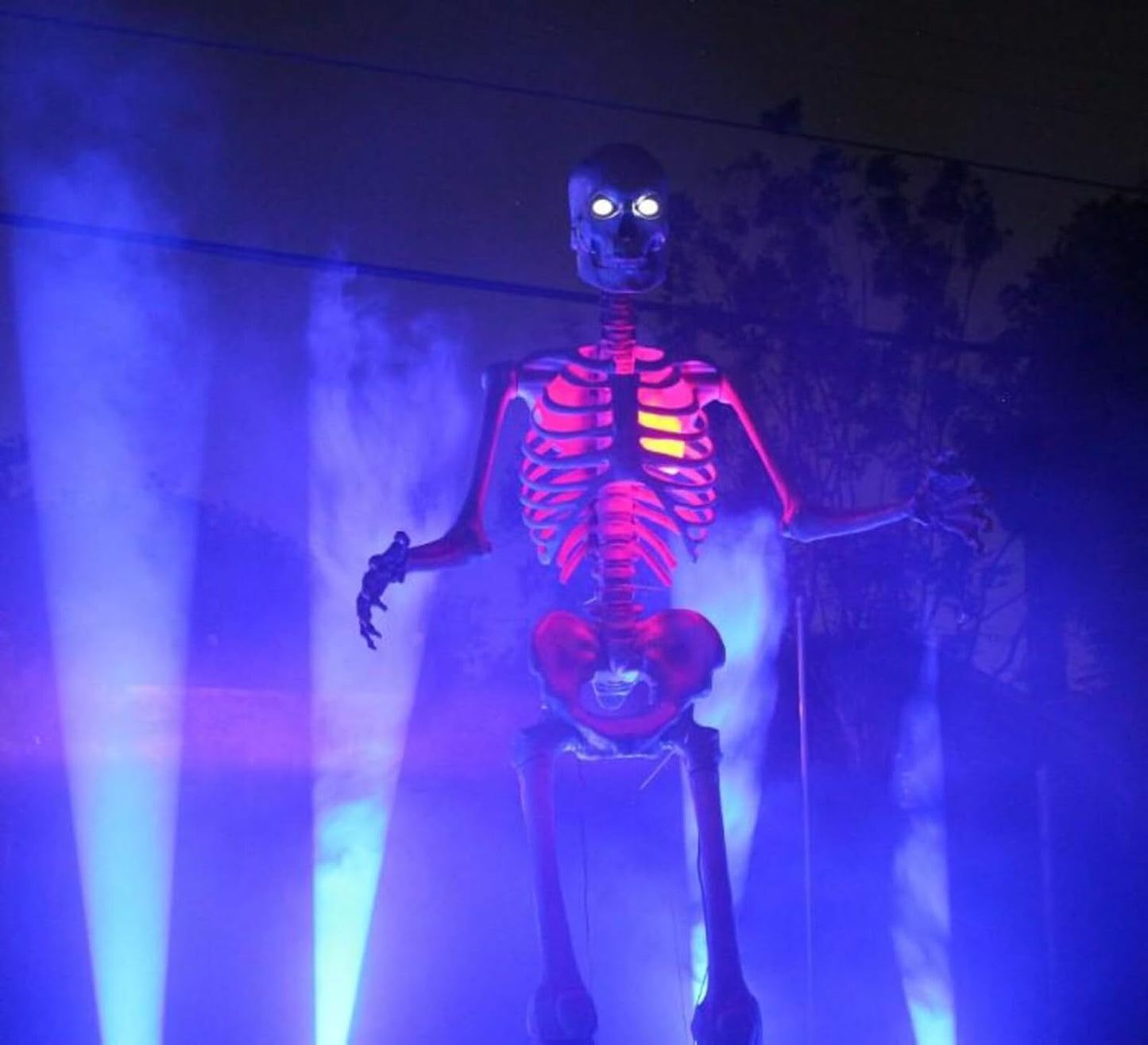 Light up Halloween Skeleton Heart Decor, Halloween Animatronics Props Realistic Heartbeat with Lights, Creepy Decorations Plug in with 16.4FT Power Cord for Skeletons Decor